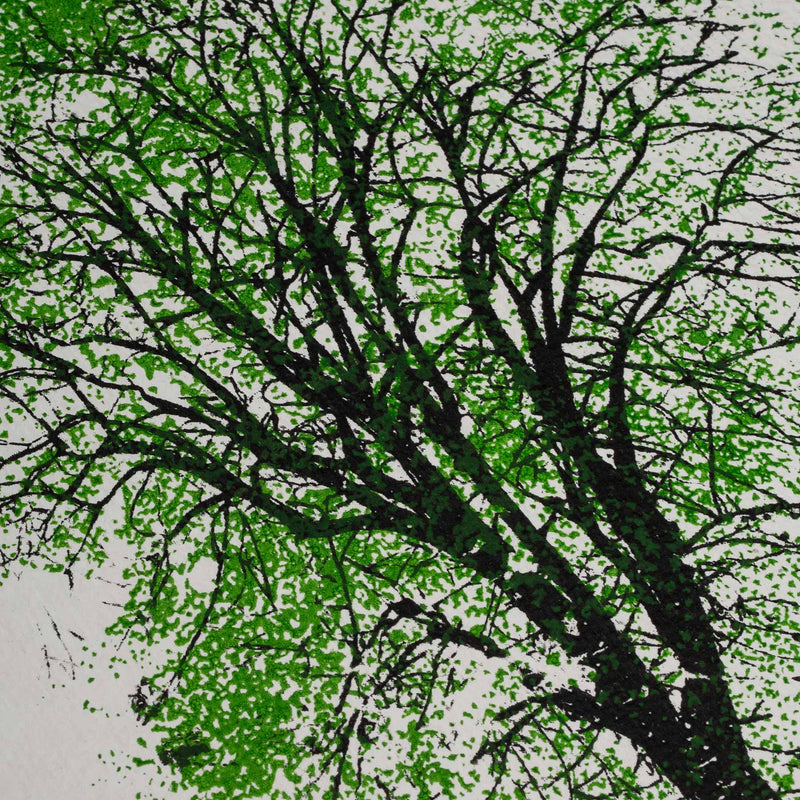 Portobello Tree ~ Textured Paper Print