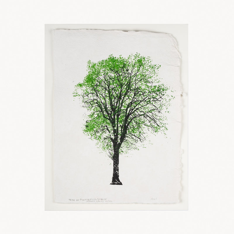 Portobello Tree ~ Textured Paper Print