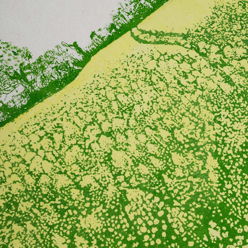 Rapeseed Field ~ Textured Paper Print