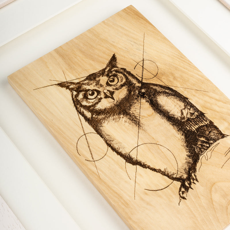 Framed Owl - Large