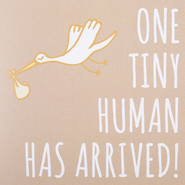 One Tiny Human Has Arrived! Blank Card