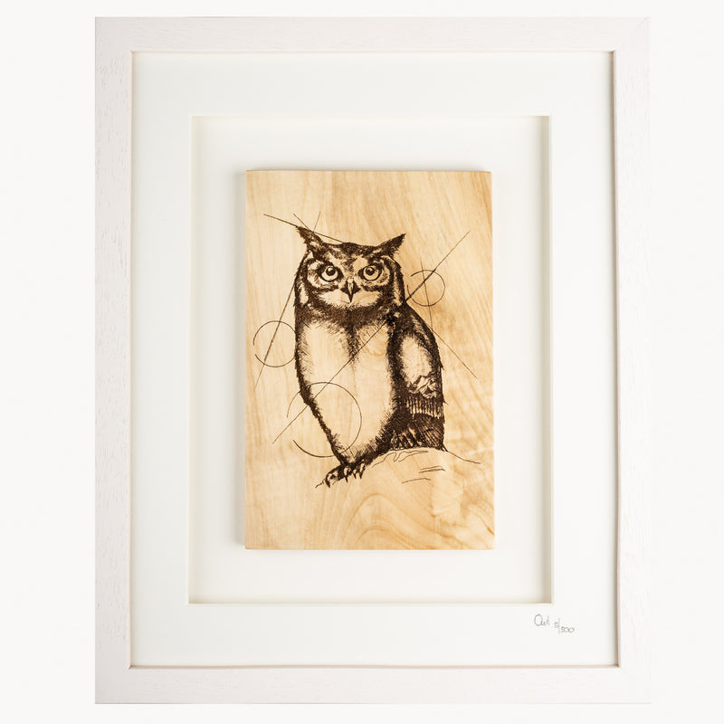 Framed Owl - Large